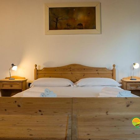La Via Antiga Apartment Cittanova  ภายนอก รูปภาพ