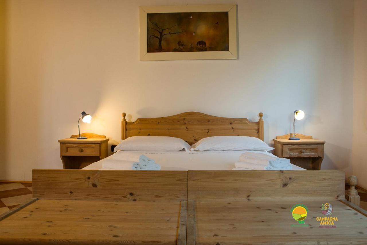 La Via Antiga Apartment Cittanova  ภายนอก รูปภาพ