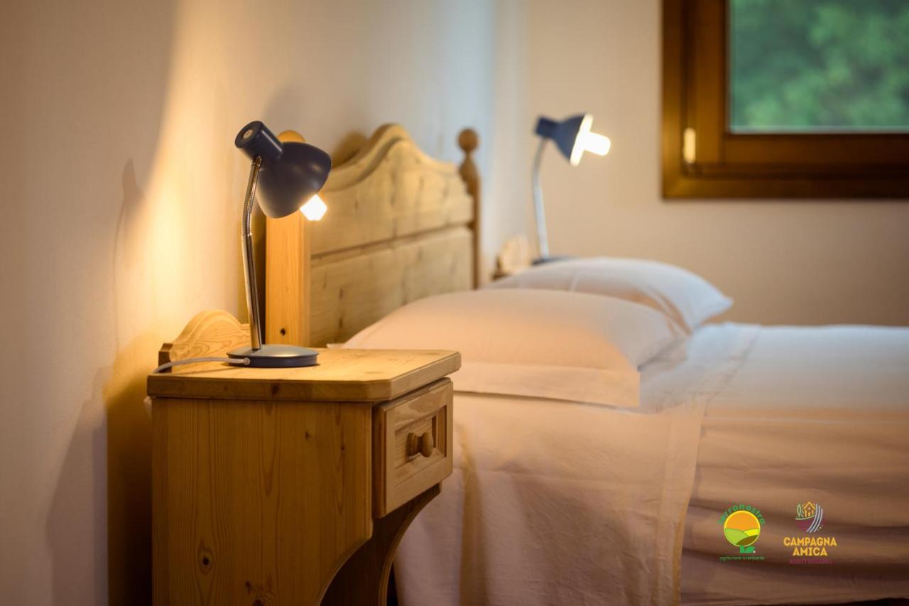 La Via Antiga Apartment Cittanova  ภายนอก รูปภาพ