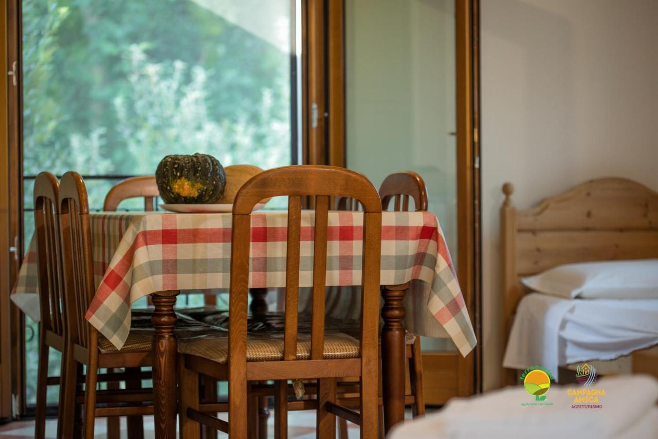 La Via Antiga Apartment Cittanova  ภายนอก รูปภาพ