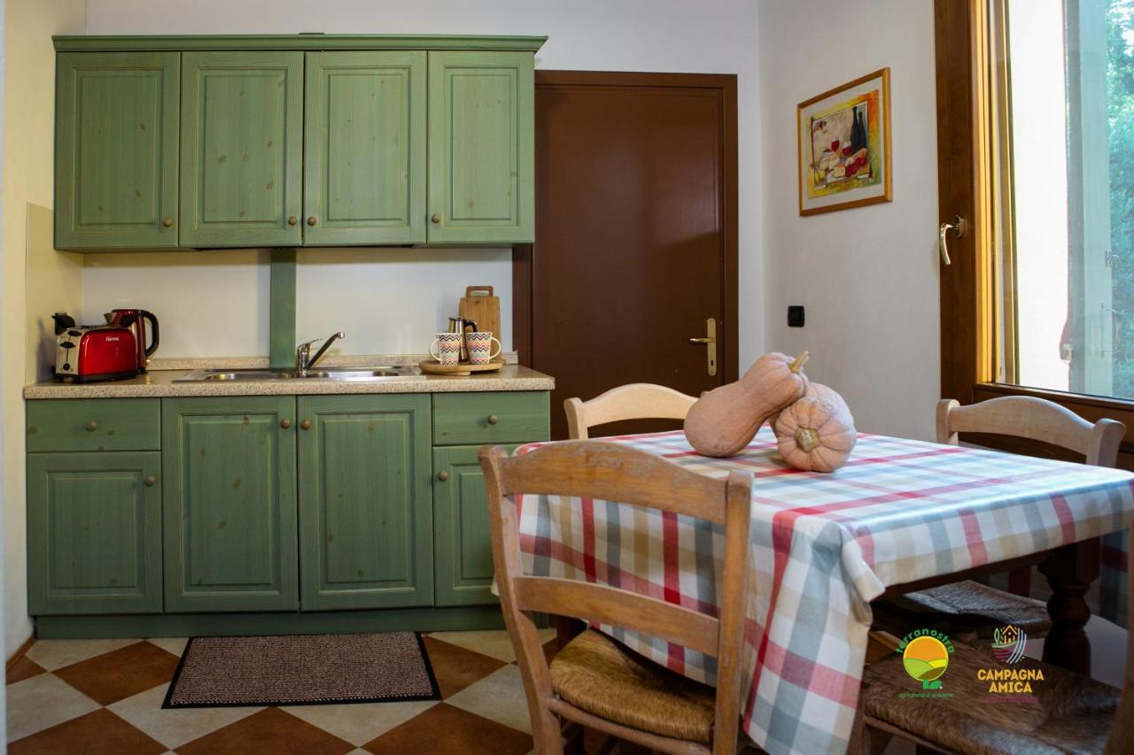 La Via Antiga Apartment Cittanova  ภายนอก รูปภาพ