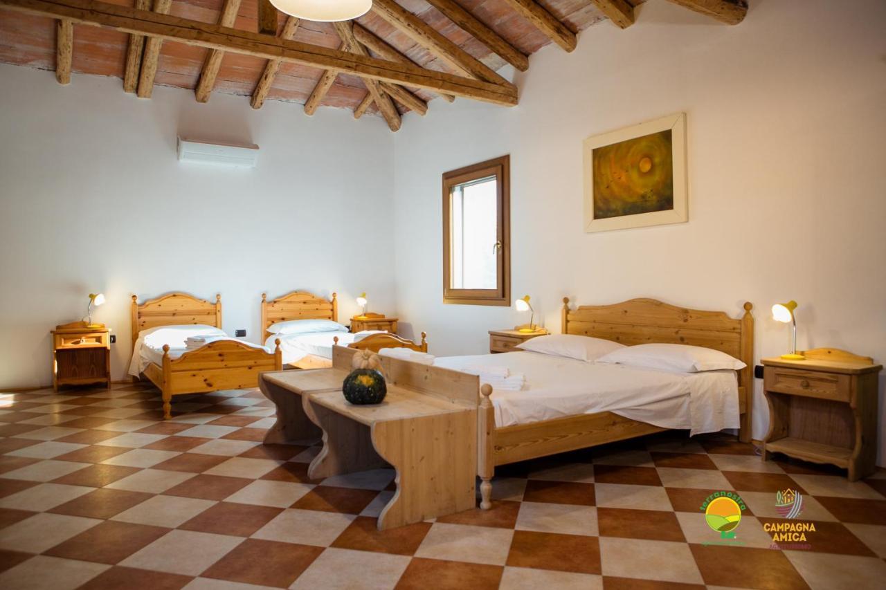 La Via Antiga Apartment Cittanova  ภายนอก รูปภาพ